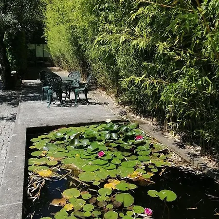 Casa Da Eira - Local Bed & Breakfast Braga