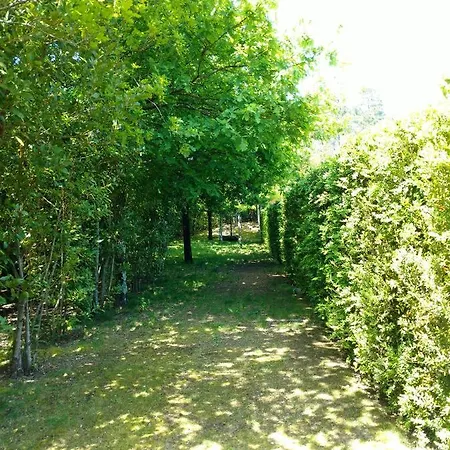 Bed & Breakfast Casa Da Eira - Local Braga